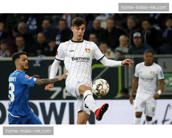 霍芬海姆球员冲突引争议，场上两名队友因防守失位相互指责